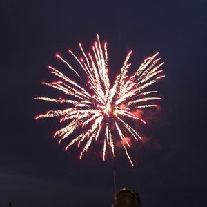 Meet your Posher, Tara